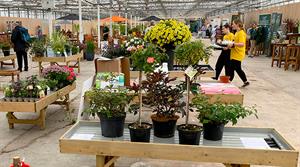 Four Oaks Trade Show